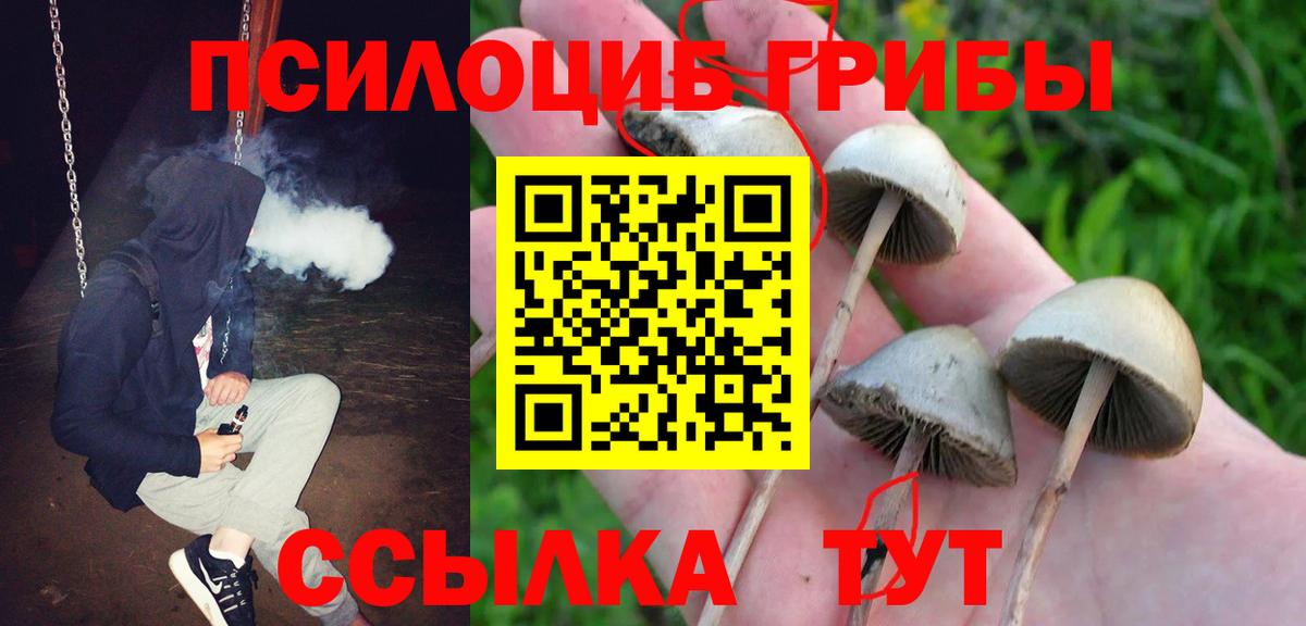 Псилоцибиновые грибы Psilocybe  Галлюциногенные грибы Magic Shrooms  Вход с VPN  Керчь 